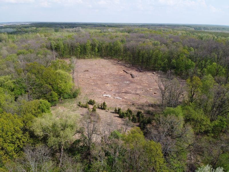 Custom Land Clearing Solutions