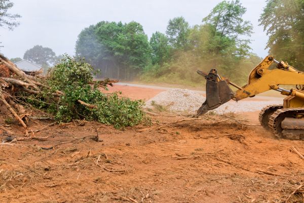 Ground Clearing in Akron