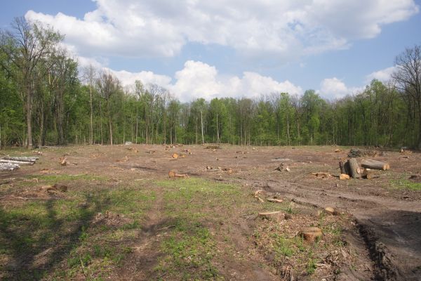 Cost of Pasture Clearing in Akron