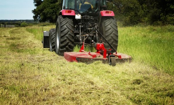 Brush Clearing Service in Akron