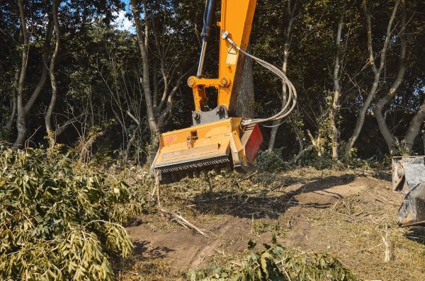 Brush Removal Service in Akron