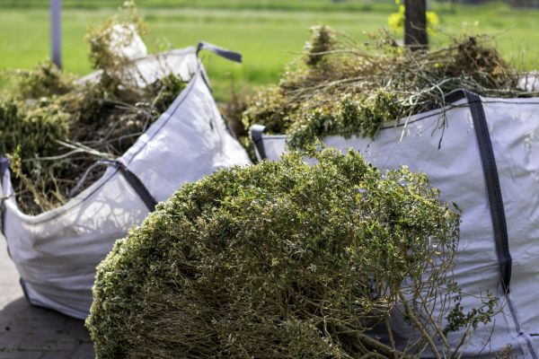 Cost of Bushes Clearing in Akron