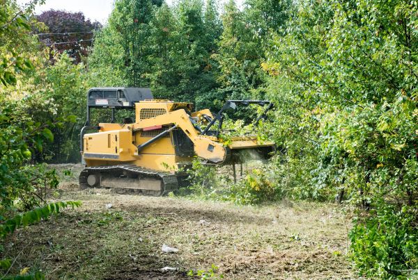 Cost of Pathway Clearing in Akron