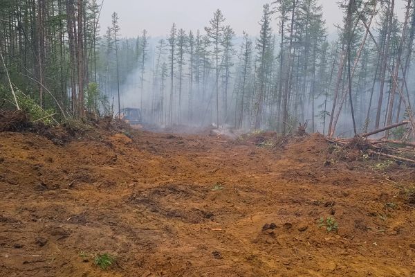 Cost of Hill Clearing in Akron