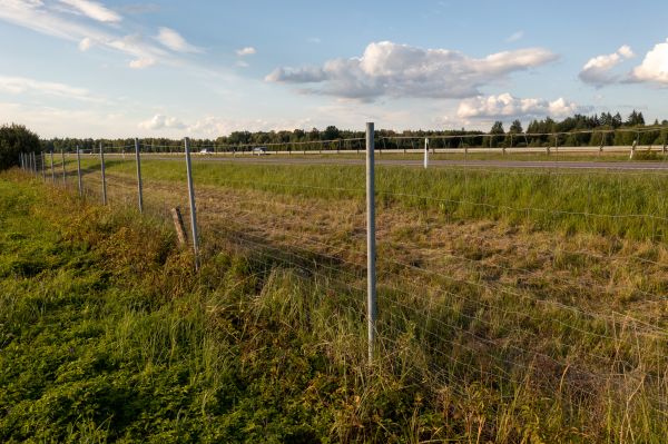 Cost of Property Line Clearing in Akron
