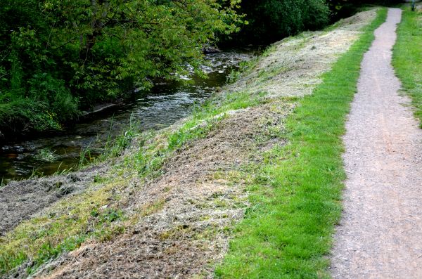 Cost of Trail Cutting in Akron
